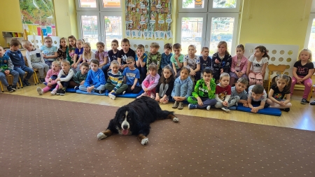 Behawiorysta psów w przedszkolu 
