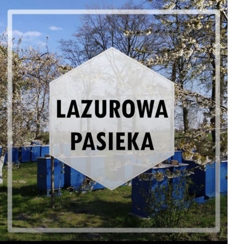 Pan pszczelarz z ''Lazurowej Pasieki''