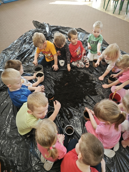 Przebudzenie po zimie